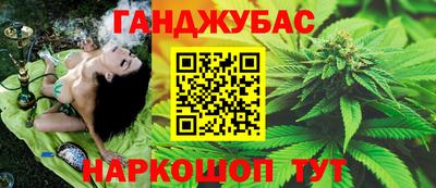 индика Ипатово