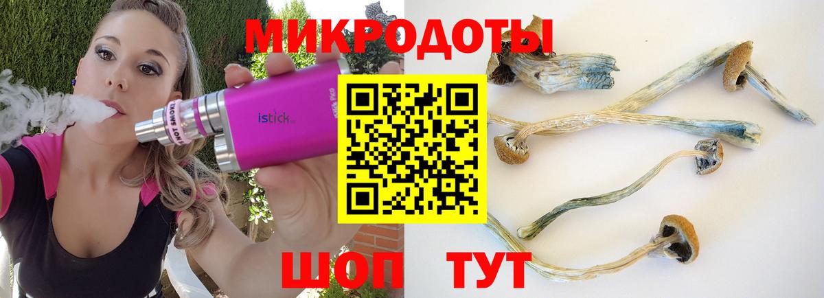 Галлюциногенные грибы Psilocybine cubensis  Вход с VPN  Лыткарино 