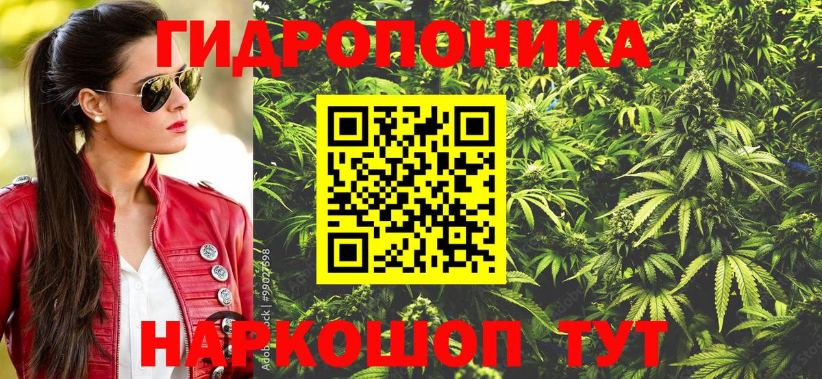 Каннабис сатива  Вход с VPN  Марихуана гибрид  Каннабис OG Kush  Лыткарино 